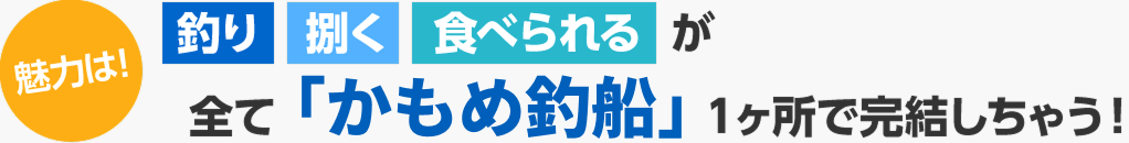 魅力は！釣り・捌く・食べれるが全て「かもめ釣船」１ヶ所で完結しちゃう！