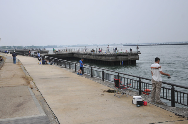 新居海釣り公園は浜名湖でも海に程近い場所なので、潮風がとっても気持ちいい場所です。