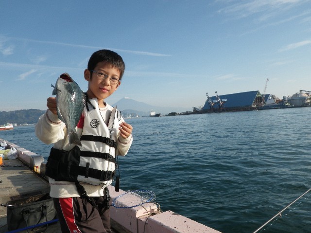 11月13日 清水港日の出埠頭海釣りフェスタ開催報告 釣具のイシグロ 釣り情報サイト