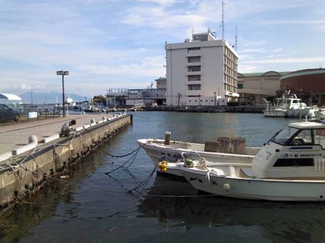 清水港 ドリームプラザ前 静岡市清水区 釣具のイシグロ 釣り情報サイト