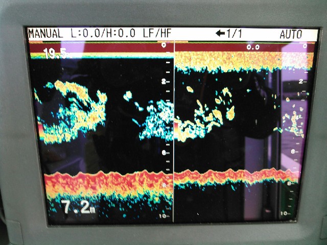 <p>魚群探知機には良い反応がありましたがキスの居る海底には台風の影響が残ってしまいました。</p>