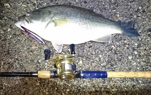 冬の琵琶湖北湖のドシャローが熱い 釣具のイシグロ 釣り情報サイト