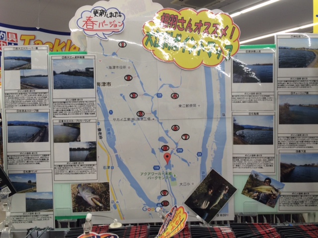 相羽さん監修！春の『 大江川 』攻略マップ！！