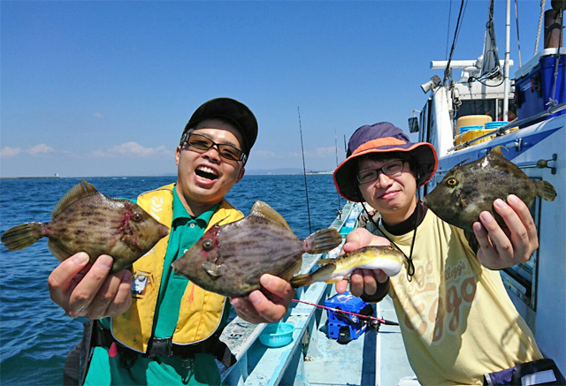 秋の釣りもの肝パンカワハギ フグ 釣具のイシグロ 釣り情報サイト