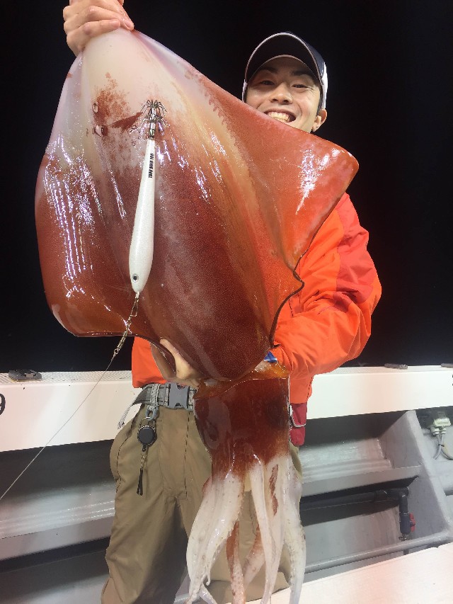 日本海の怪物イカを狙え タルイカジギング 釣具のイシグロ 釣り情報サイト