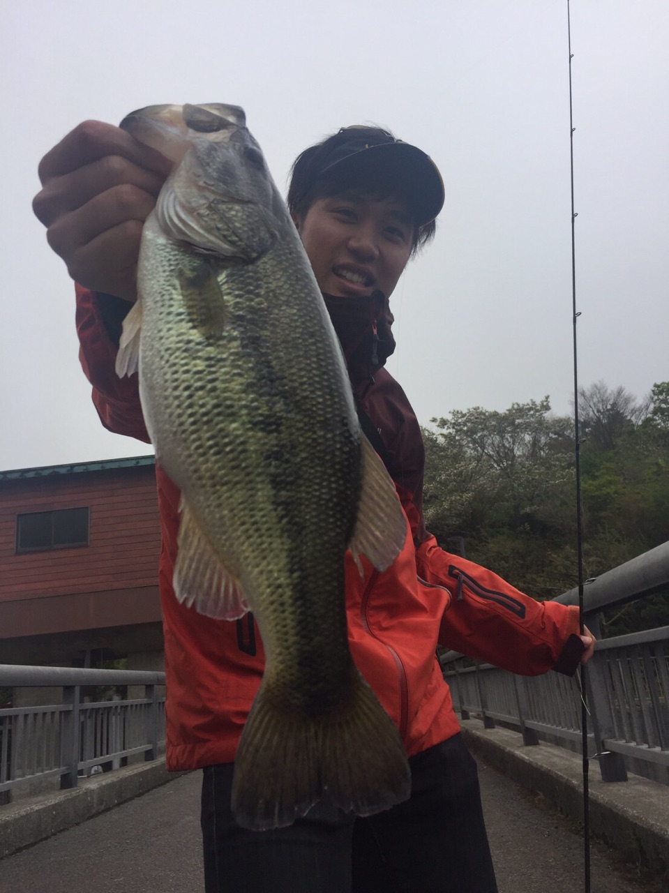 リフラックス 5月6日 芦ノ湖オカッパリ釣行 釣具のイシグロ 釣り情報サイト