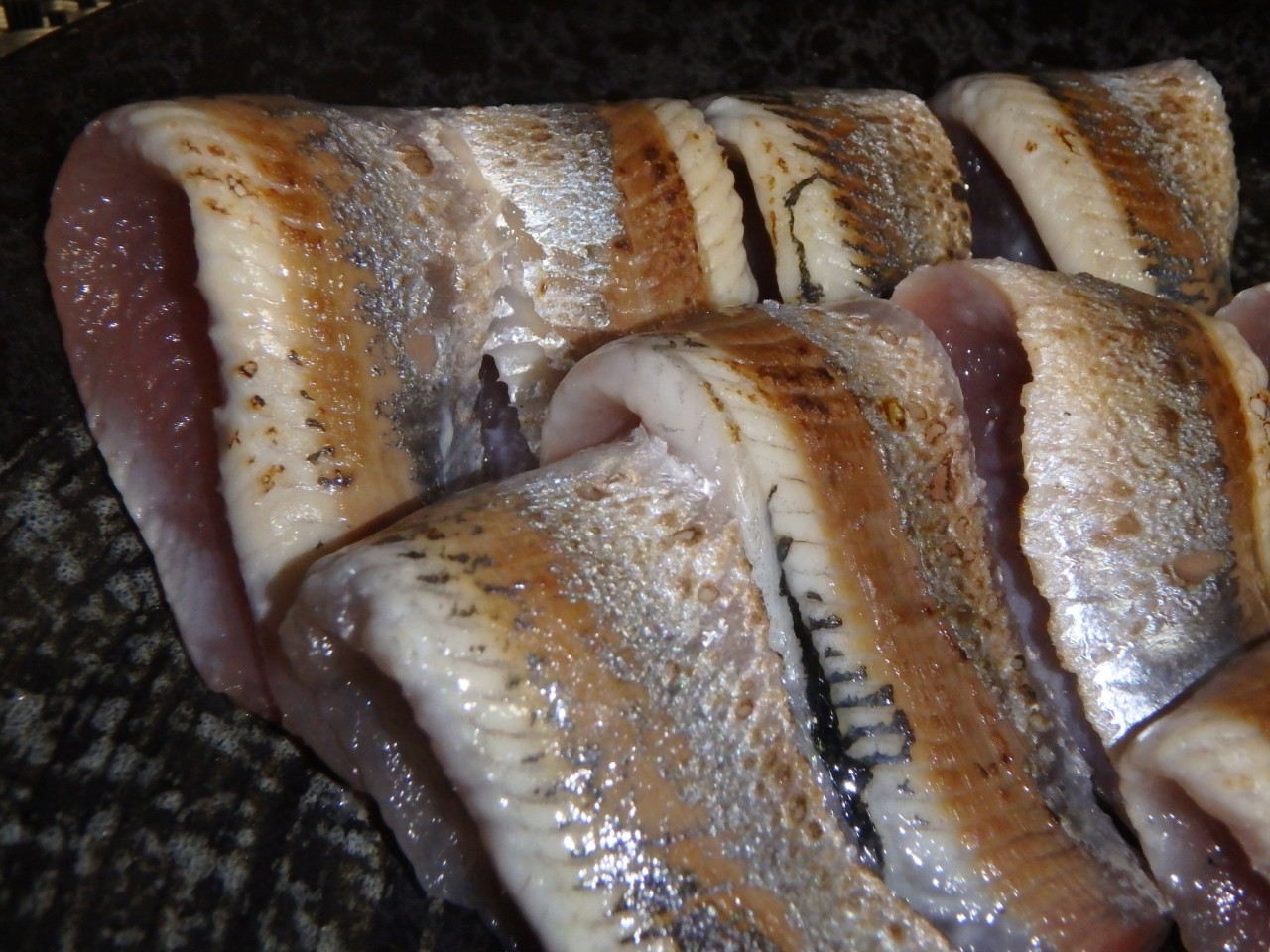 今釣れているマイワシの美味しい食べ方をご紹介 釣具のイシグロ 釣り情報サイト