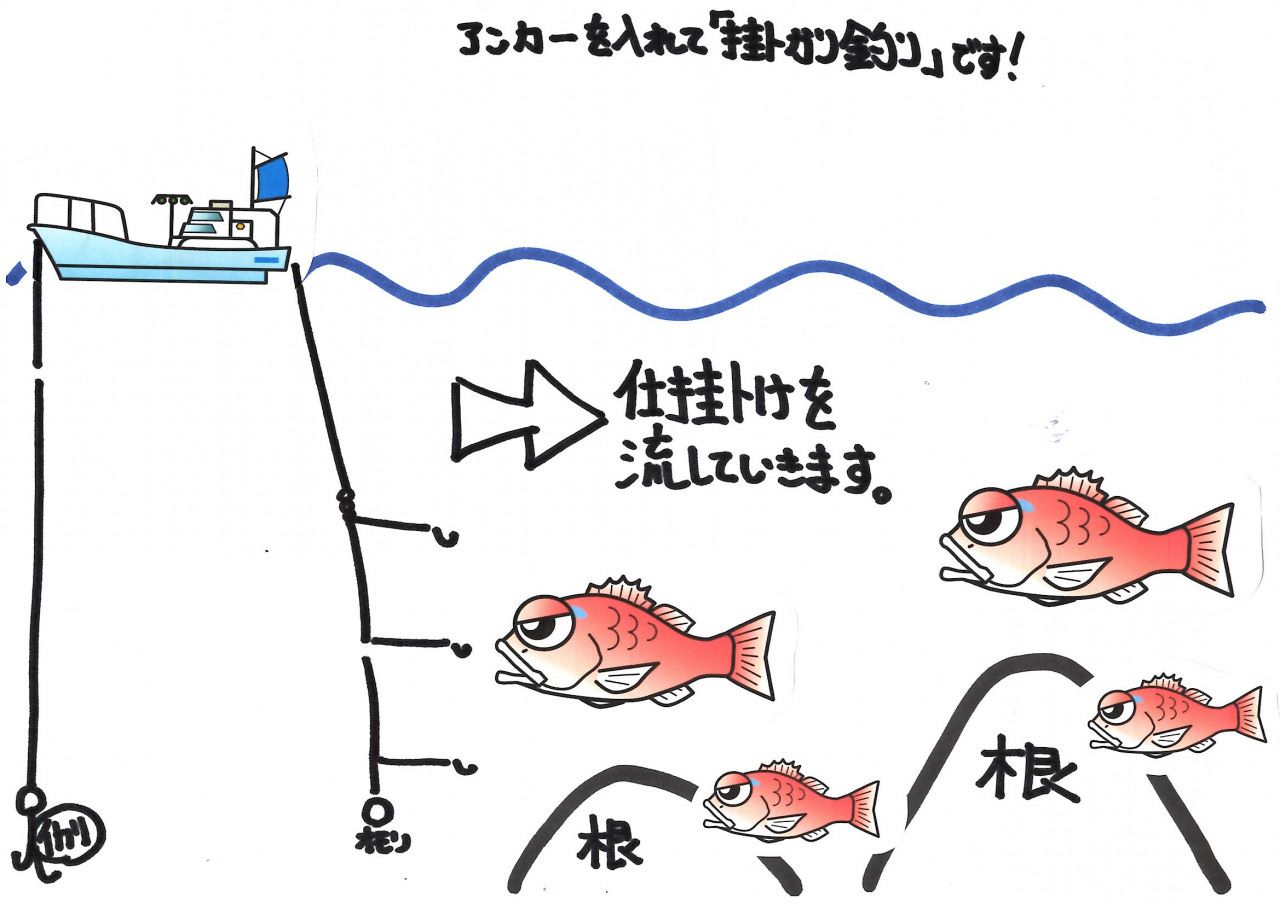伝統釣法 ウタセ真鯛 好調です 釣具のイシグロ 釣り情報サイト