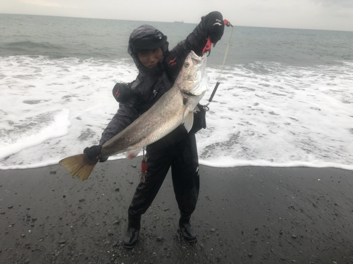 静岡サーフルアー絶好調 釣具のイシグロ 釣り情報サイト