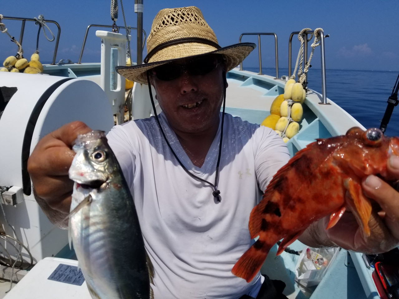 真っ赤なカサゴが大漁 そして良型のアジまでっ イシグロ半田店 釣具のイシグロ 釣り情報サイト