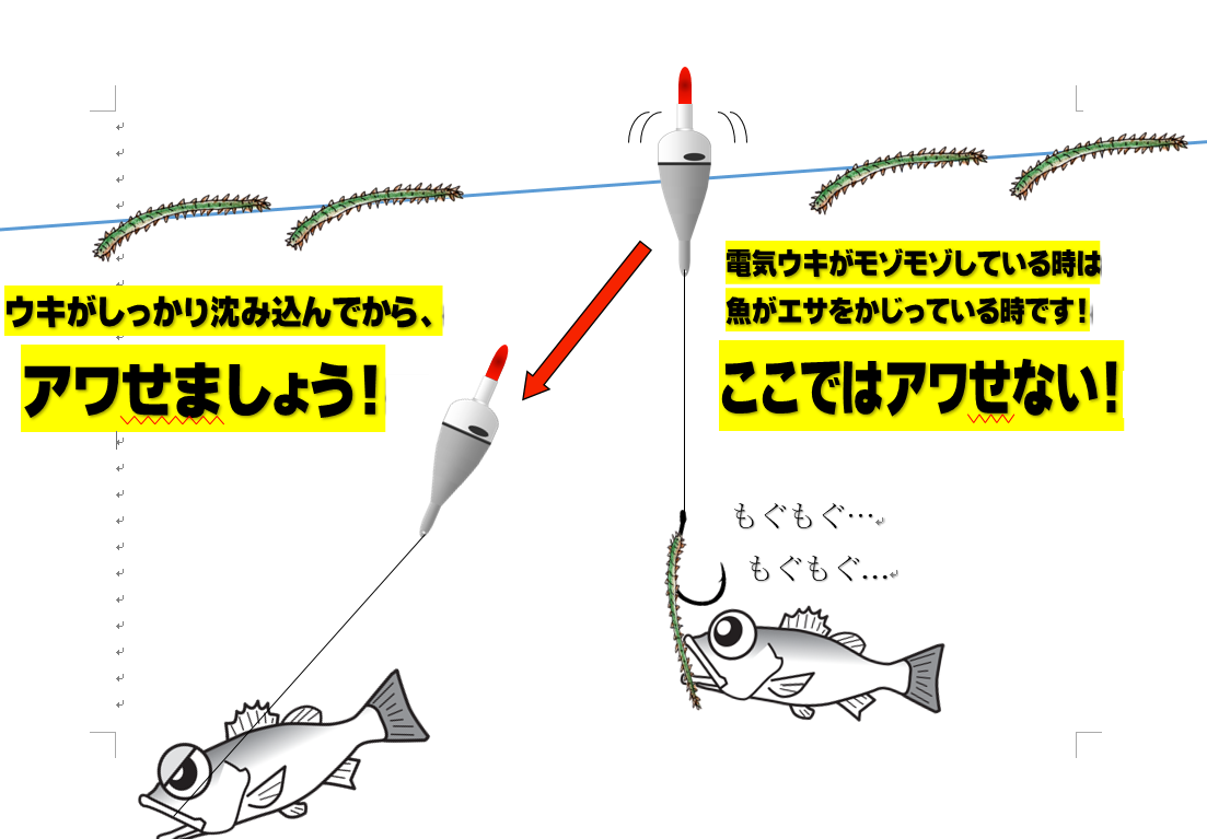 シーバスのバチ抜けシーズンは 電気ウキ も面白い 釣具のイシグロ 釣り情報サイト