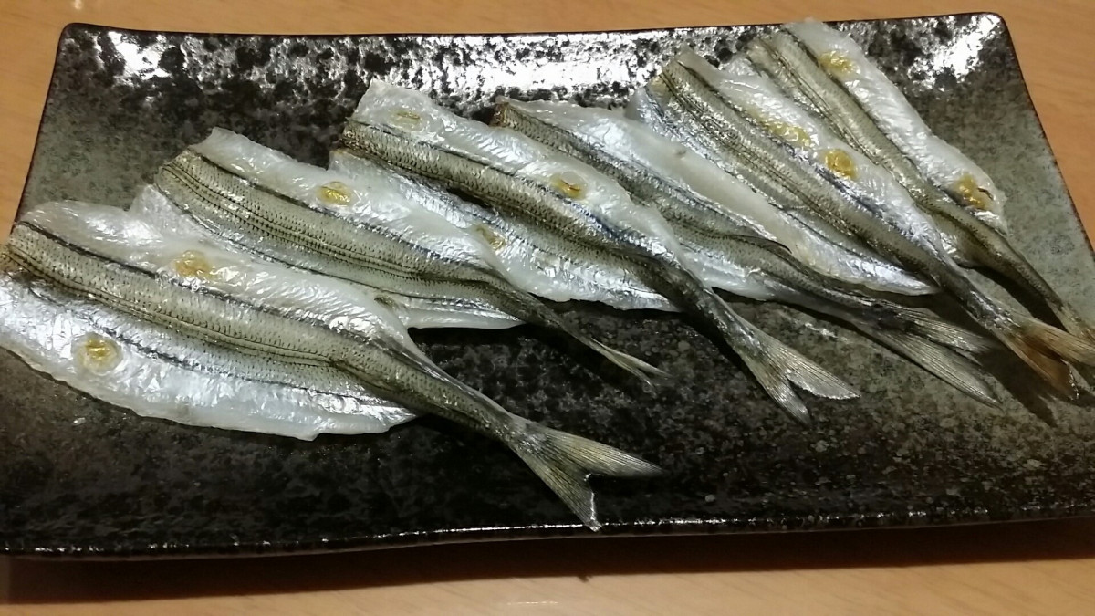 イシグロ半田店 ピチットシート サヨリの一夜干し 釣具のイシグロ 釣り情報サイト