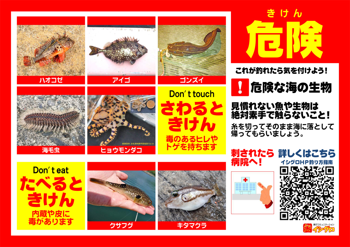 危険な海の生物｜釣具のイシグロ |釣り情報サイト