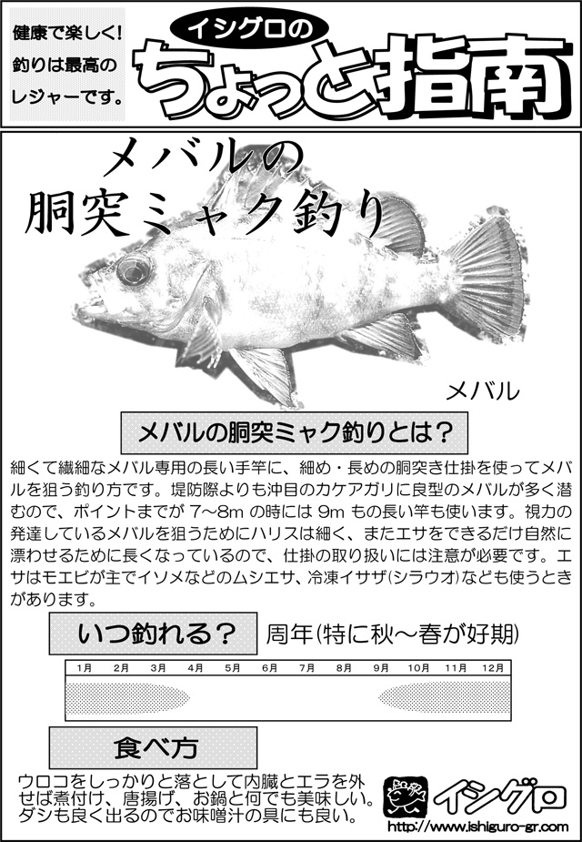 メバルの胴突ミャク釣り 釣具のイシグロ 釣り情報サイト