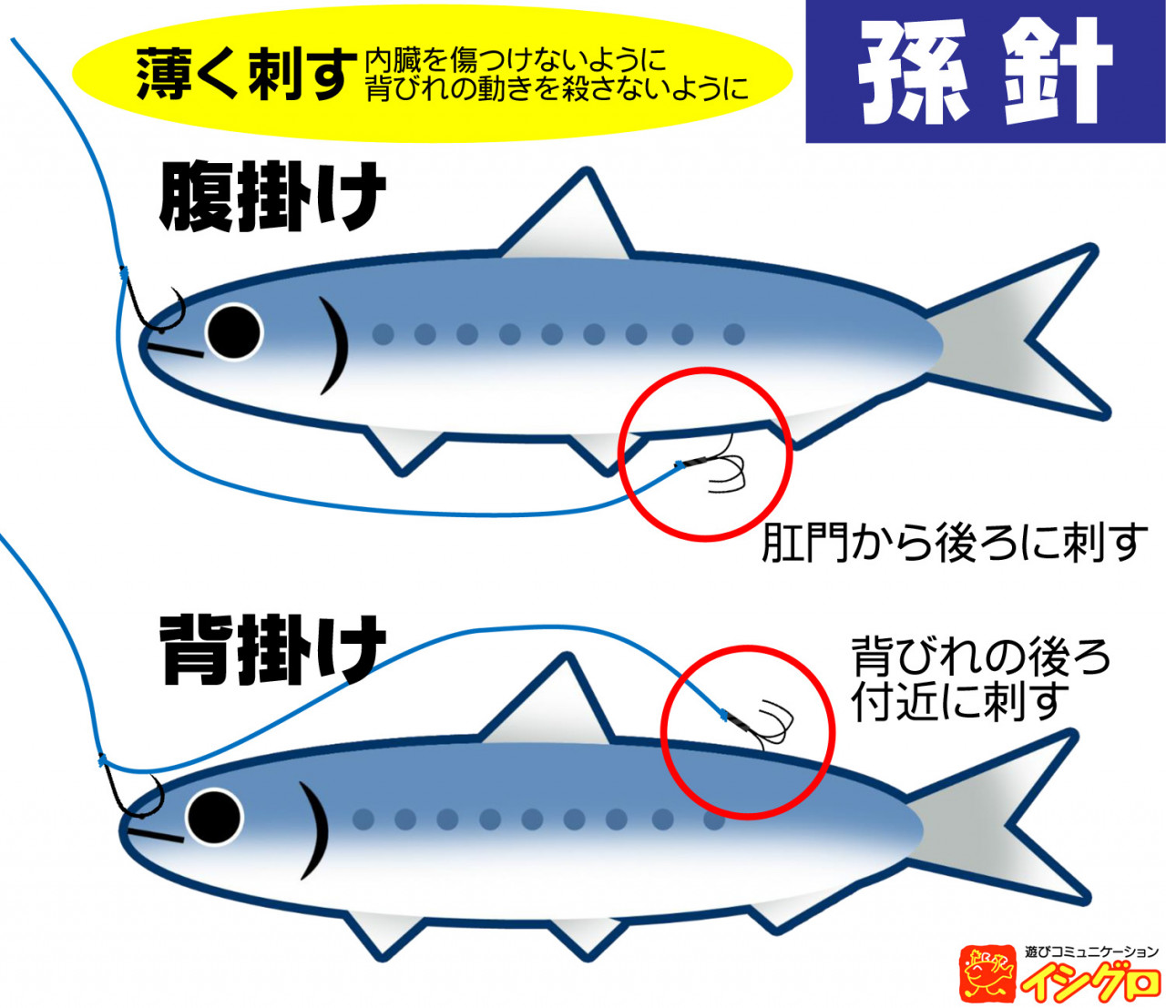 伊勢湾 船ヒラメ泳がせ釣り 深掘り 釣具のイシグロ 釣り情報サイト