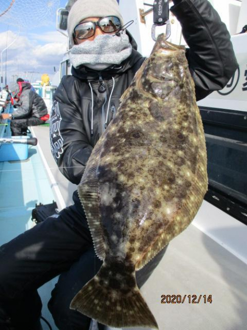 新規のお客様はキョーイチの肉厚初冬ろくまるOverビラメを釣り上げましたッ(°▽°)