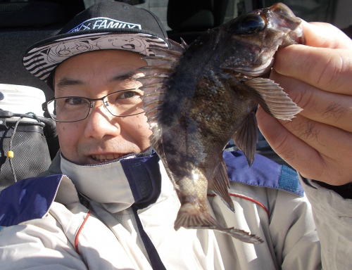 今シーズン初のメバルが釣れました。浜名湖でもこの大きさのメバルがいるんです！寒さに負けずに釣りへ出かけよう。