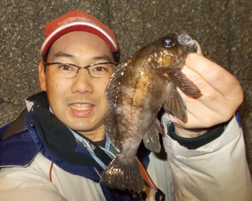 初釣りからボウズ続きでしたがようやく釣れました。20cm級連発！浜名湖でもこのサイズのメバルが釣れますよ。