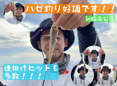 【ちょい投げでハゼがたくさん釣れます！！】in稲永公園