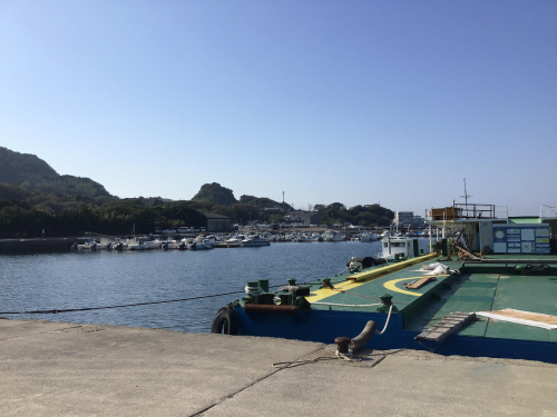 田原姫島漁港はトイレあります。チビメバル以外は未知です。順次調査ですね〜