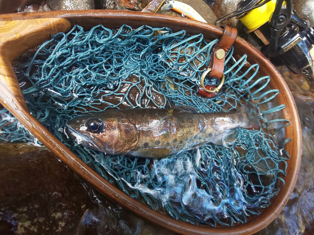 河津川渓流ルアー行ってきました 釣具のイシグロ 釣り情報サイト