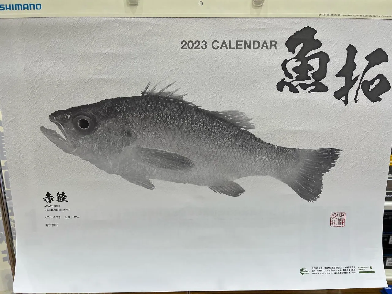 新製品入荷情報] 2023年 ダイワ・シマノカレンダー入荷しました！｜イシグロ 沼津店｜釣具のイシグロ |釣り情報サイト