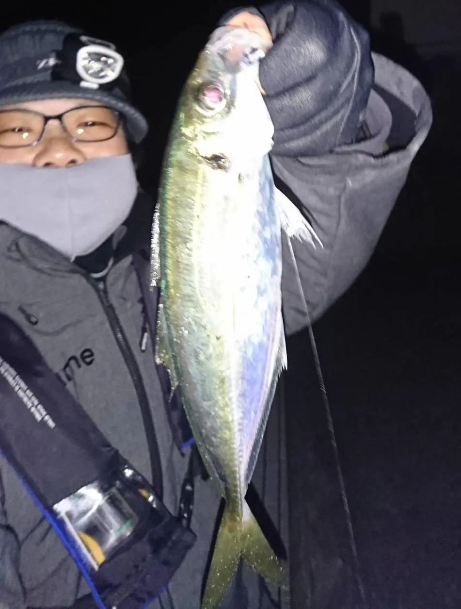 イシグロ伊東店 夜カゴ釣りで尺オーバー釣れました 釣具のイシグロ 釣り情報サイト
