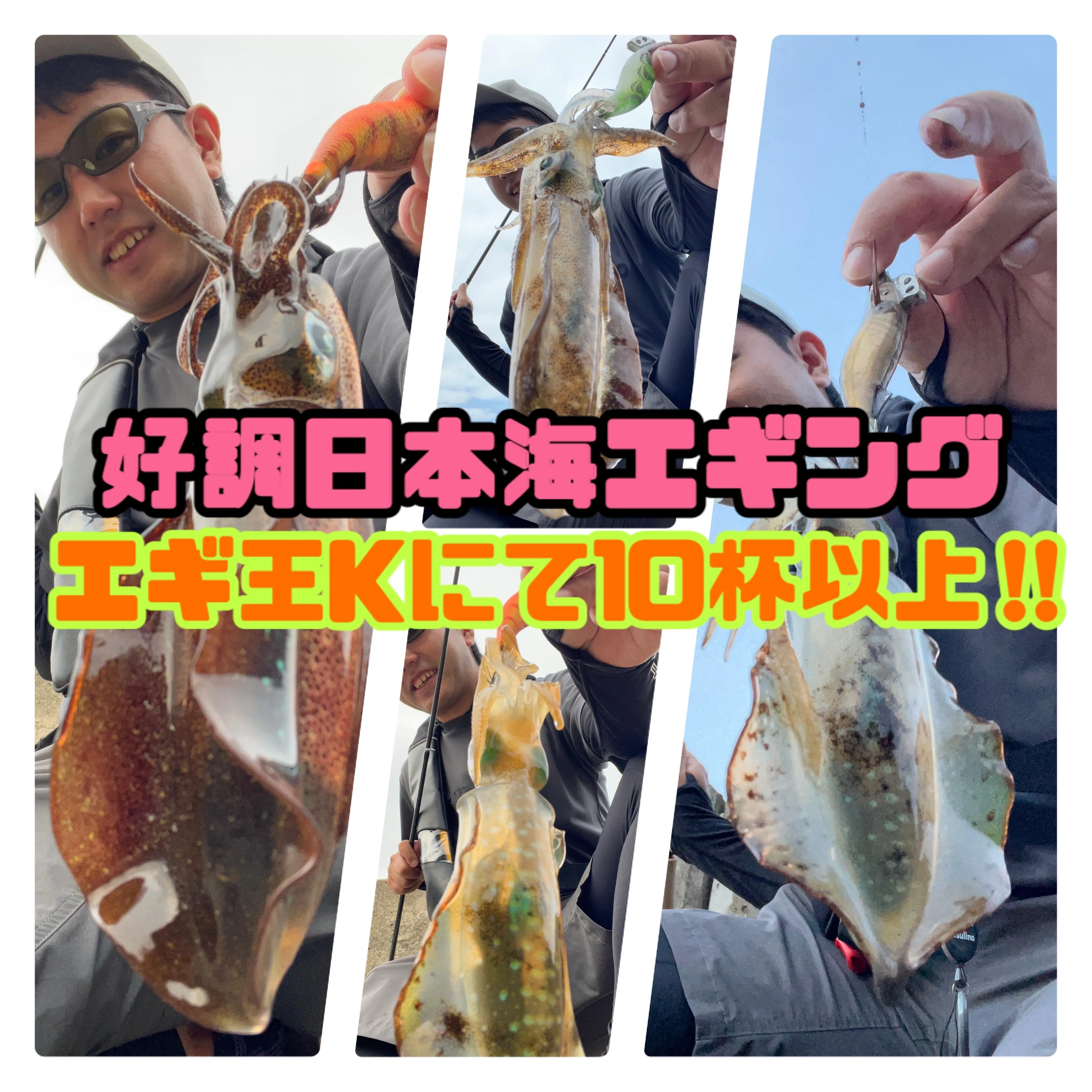 絶好調日本海秋アオリエギング ２人で10杯以上の爆釣 アジングで豆アジも釣れてます 釣具のイシグロ 釣り情報サイト
