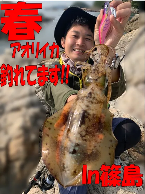 21年 愛知 春アオリイカ釣れてます In篠島 イシグロ知立店 釣具のイシグロ 釣り情報サイト