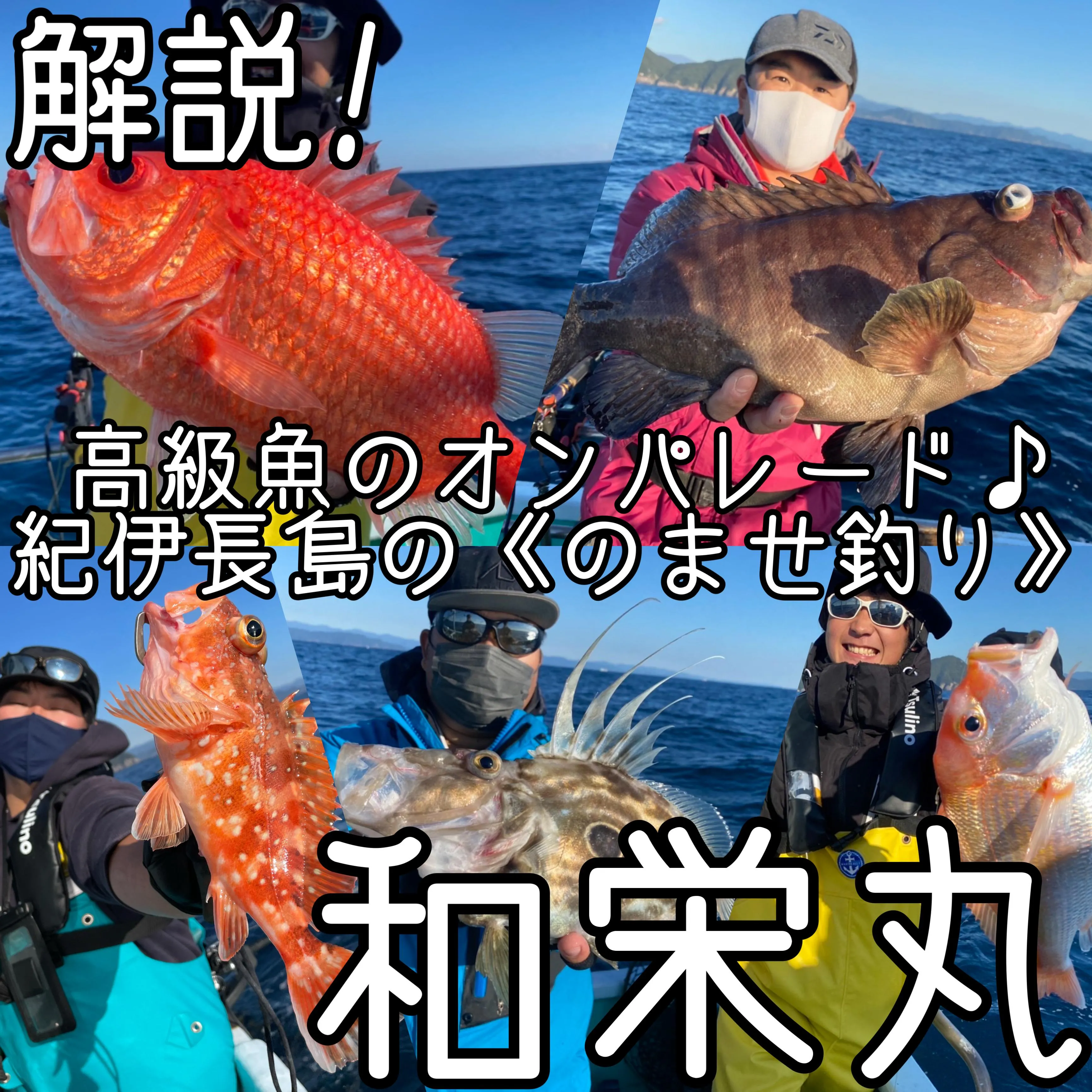 解説♪♪紀伊長島≪和栄丸さん≫で大人気ののませ釣り！高級魚連発