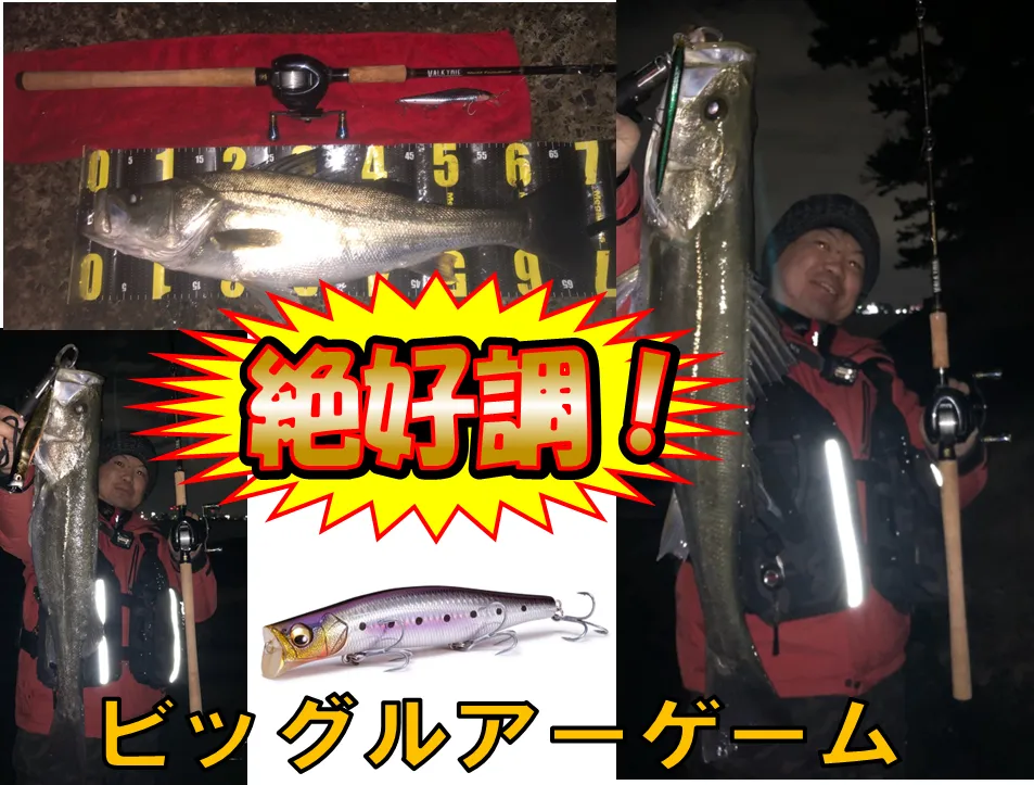 イシグロ鳴海店 名港シーバス最新釣果情報！｜釣具のイシグロ |釣り 