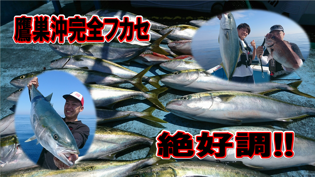 大漁 福井県鷹栖沖の完全フカセ 釣具のイシグロ 釣り情報サイト
