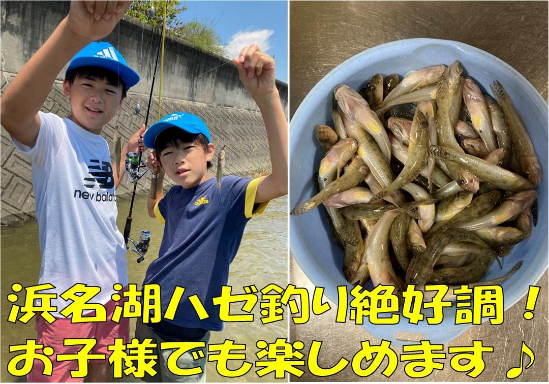 浜名湖のハゼ釣り絶好調 釣具のイシグロ 釣り情報サイト