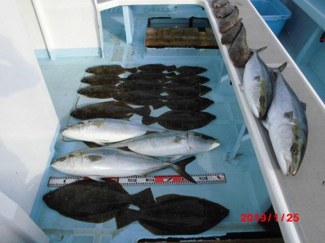 伊良湖沖 オールキャストがワヤぐいッ 釣具のイシグロ 釣り情報サイト