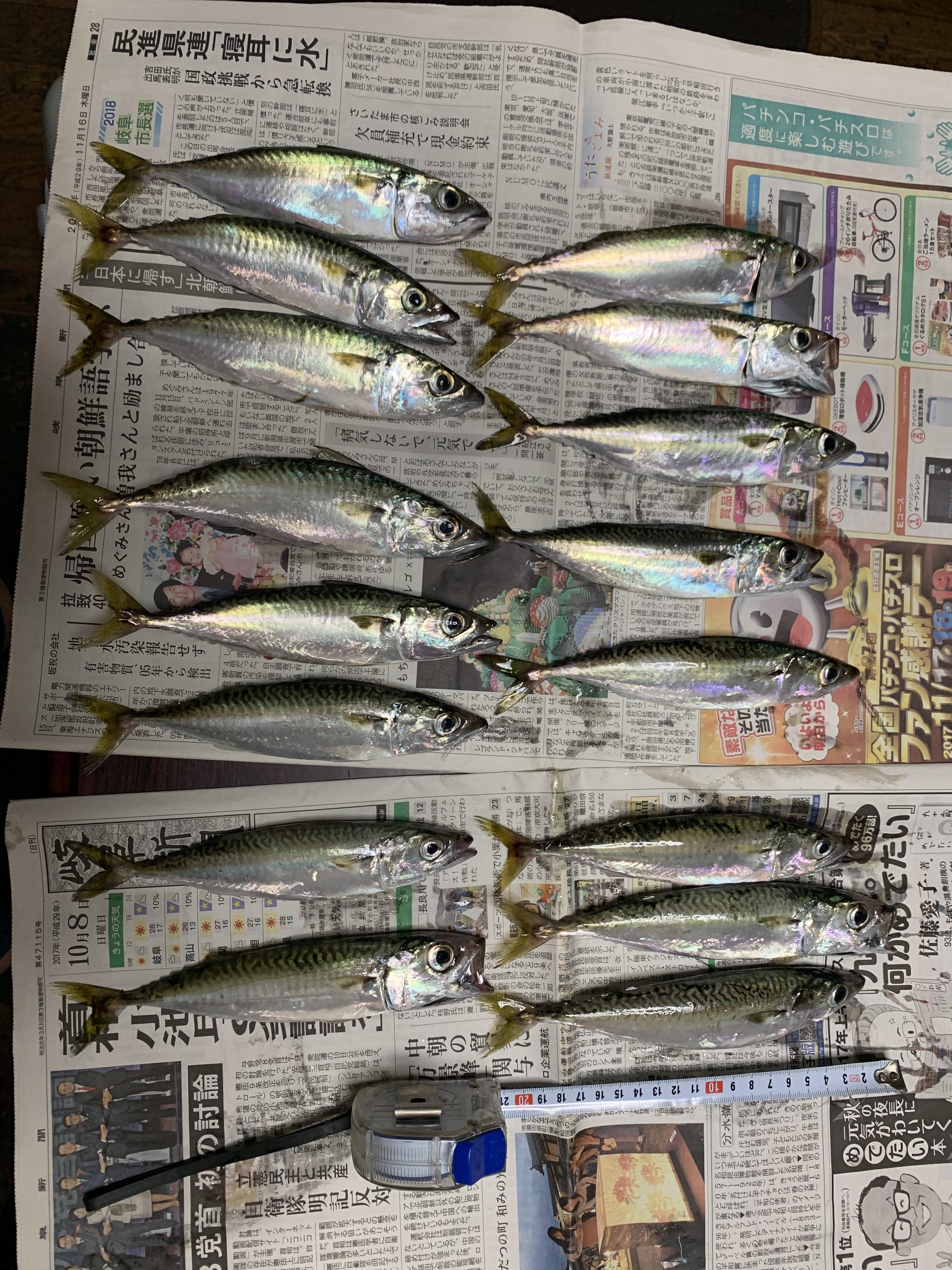 名古屋港周辺で夜釣り 釣具のイシグロ 釣り情報サイト