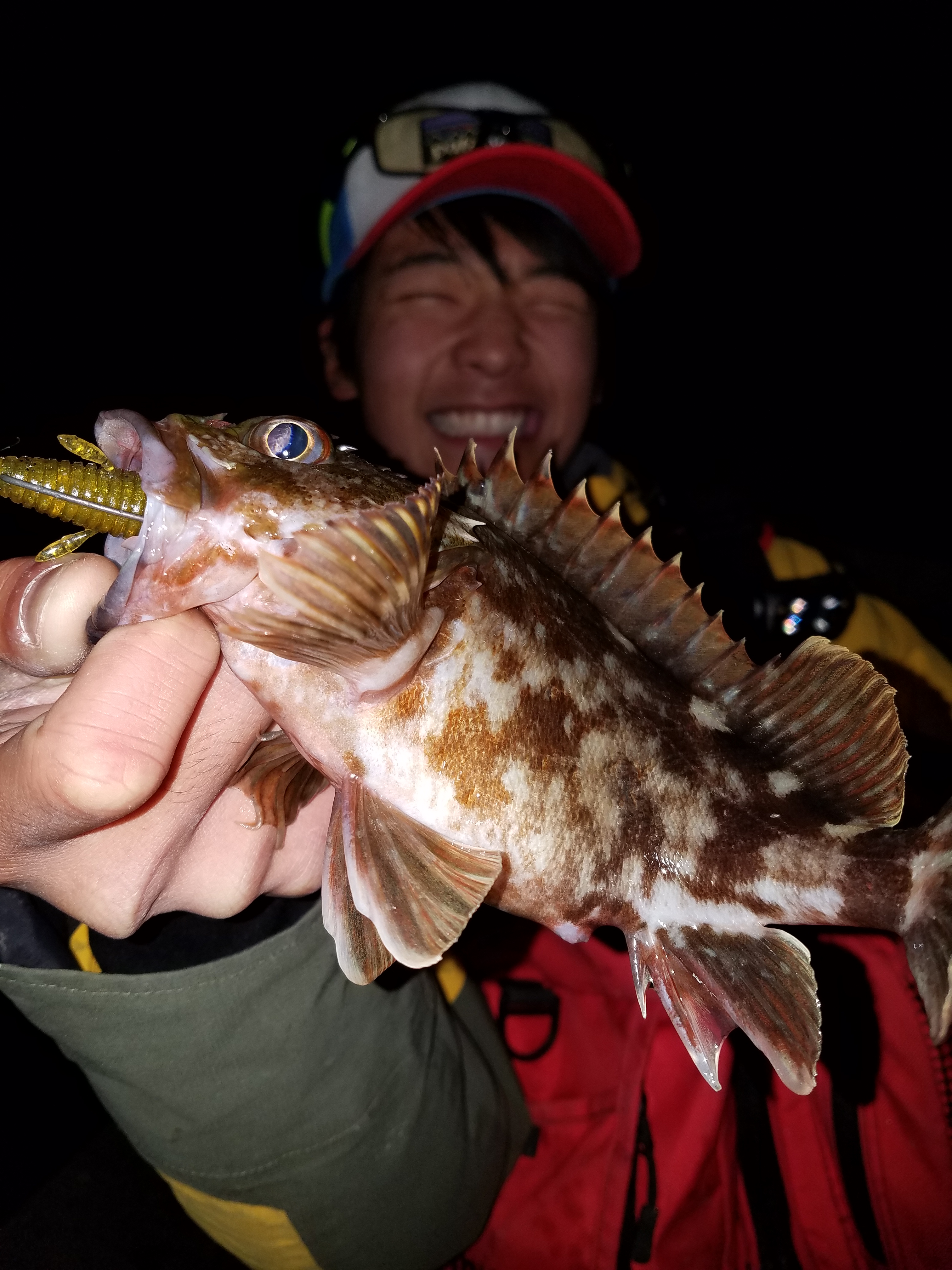 冬の根魚 新釣法 これが バックスライド だ 釣具のイシグロ 釣り情報サイト