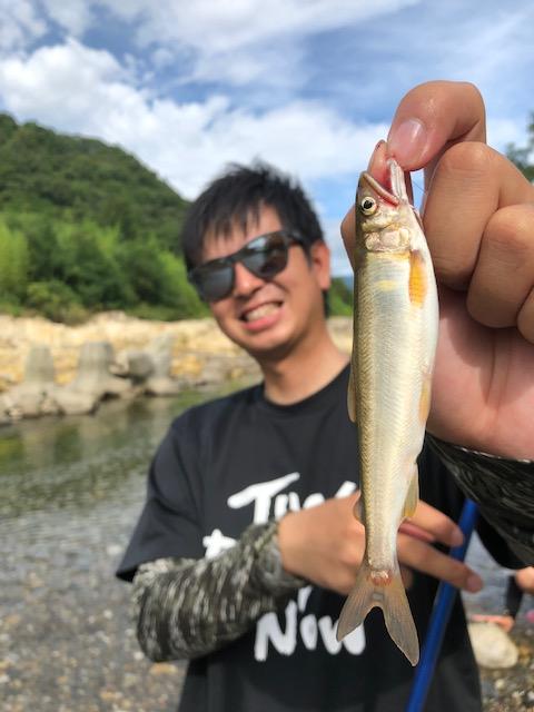 琵琶湖 小 鮎 釣り 2020