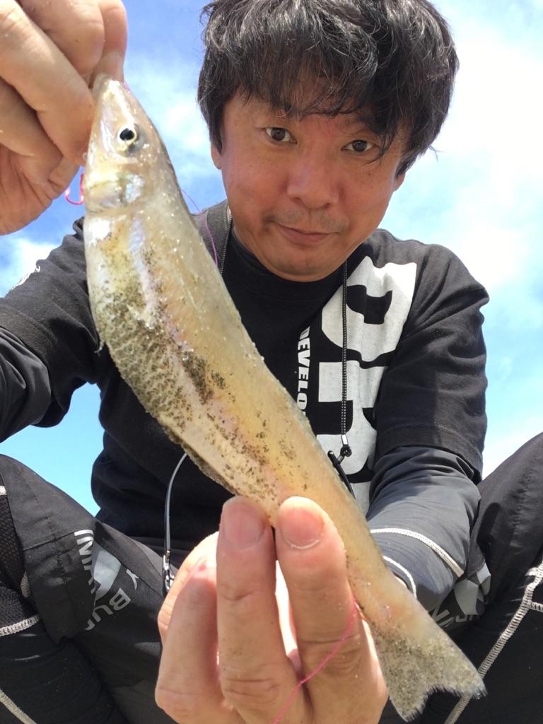 篠島はちょい投げで沢山魚が釣れるんですよ♪
