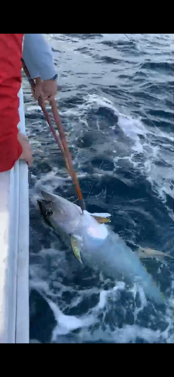 動画公開 うっしーのタイラバ釣行 巨大魚浮上 釣具のイシグロ 釣り情報サイト