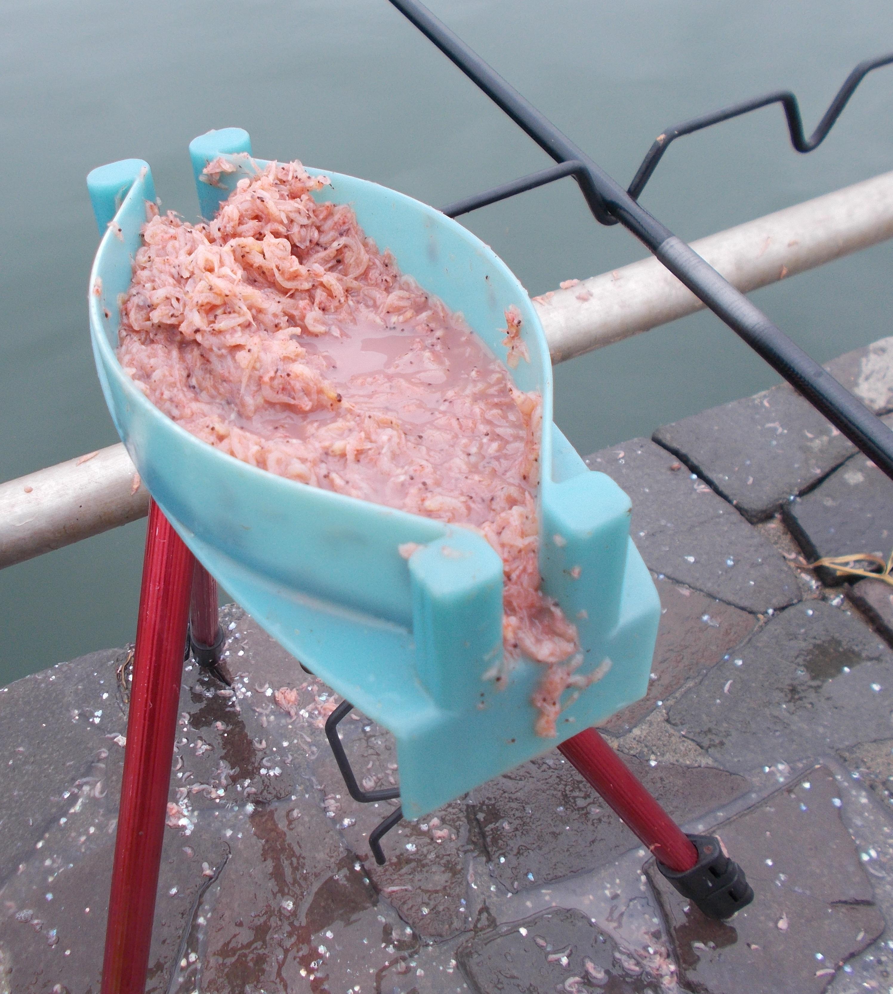 爆釣 浜名湖サビキ釣り 釣具のイシグロ 釣り情報サイト