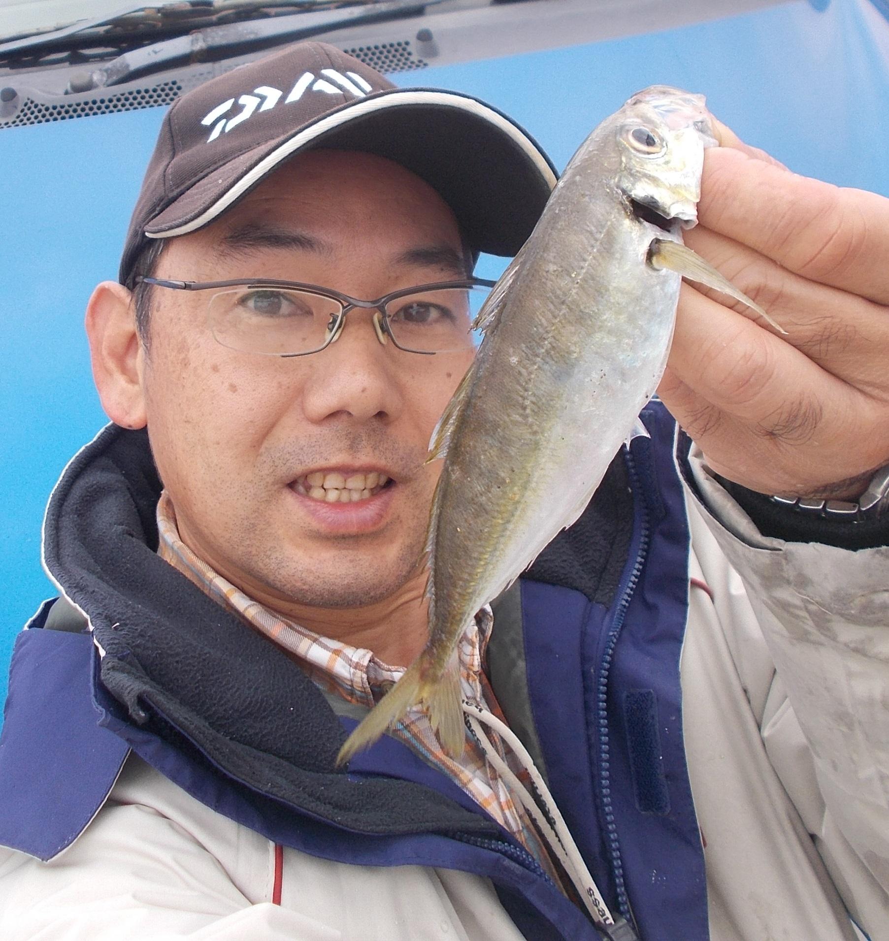 正月も終わり浜名湖へ釣り場調査に行ってきました。初釣りのいい思いをそのままに今回もアジ釣れました。脂がノリノリなのでとっても美味しかったです♪