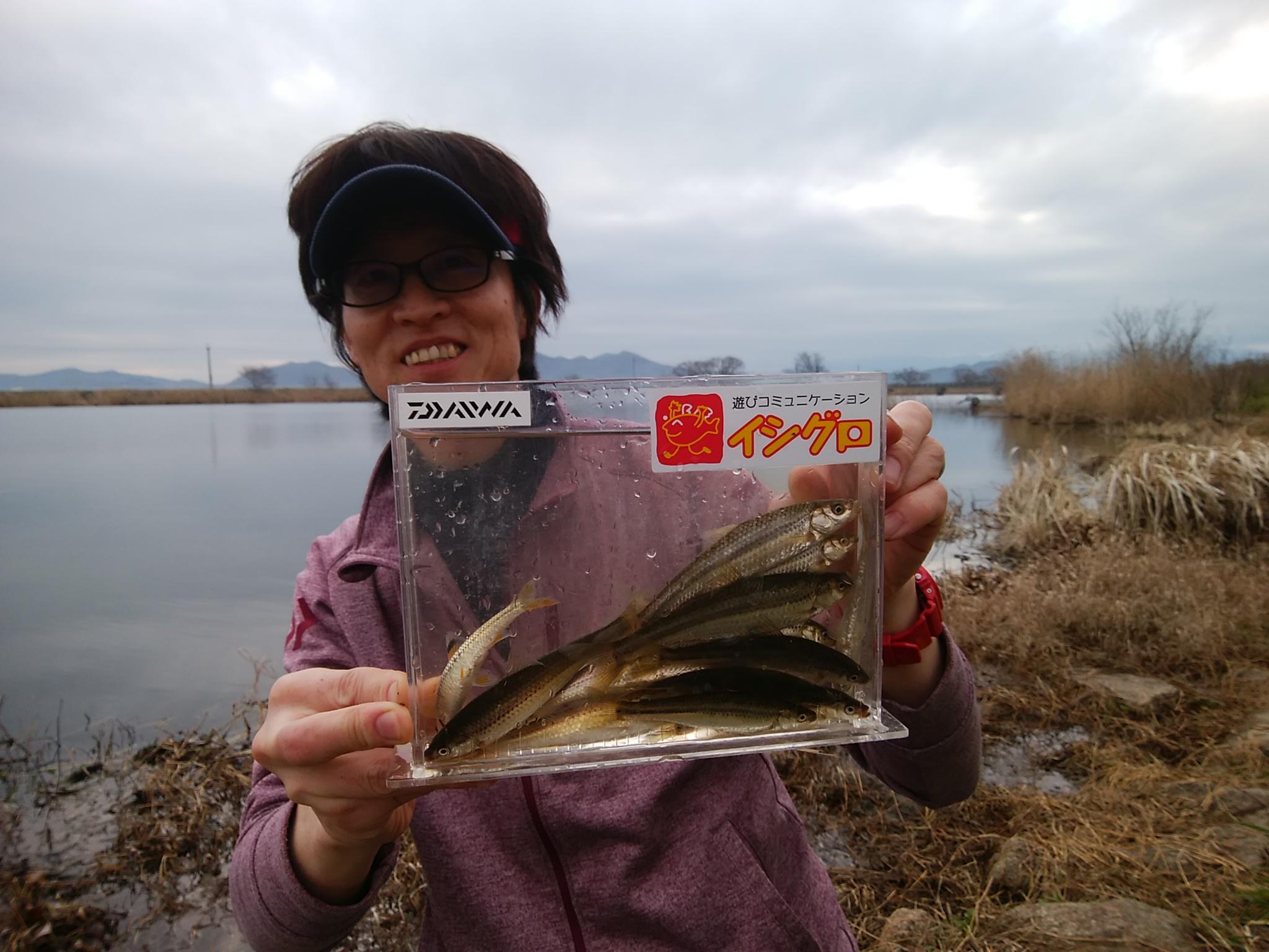 今が旬 琵琶湖ホンモロコ釣り 釣具のイシグロ 釣り情報サイト