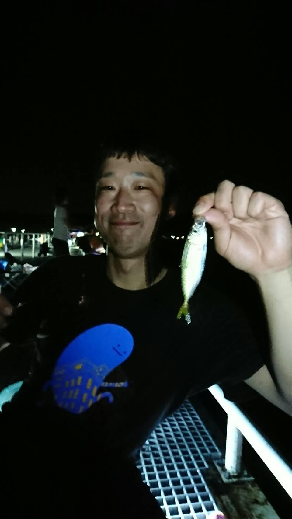 イシグロ半田店 豊浜釣り桟橋 夜のサビキ釣りでアジ釣れています 釣具のイシグロ 釣り情報サイト