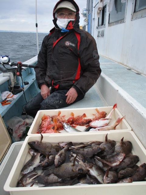 越冬黒メバル マアジ カサゴと一日、コンスタントに釣れたみたいですよッ(^-^)