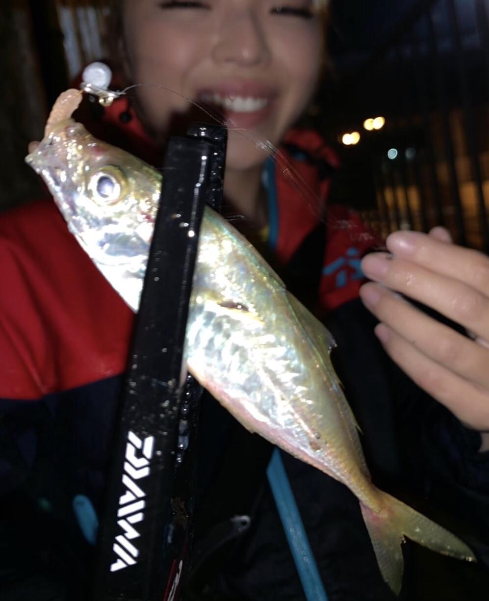 浜名湖アジング好調です 釣具のイシグロ 釣り情報サイト