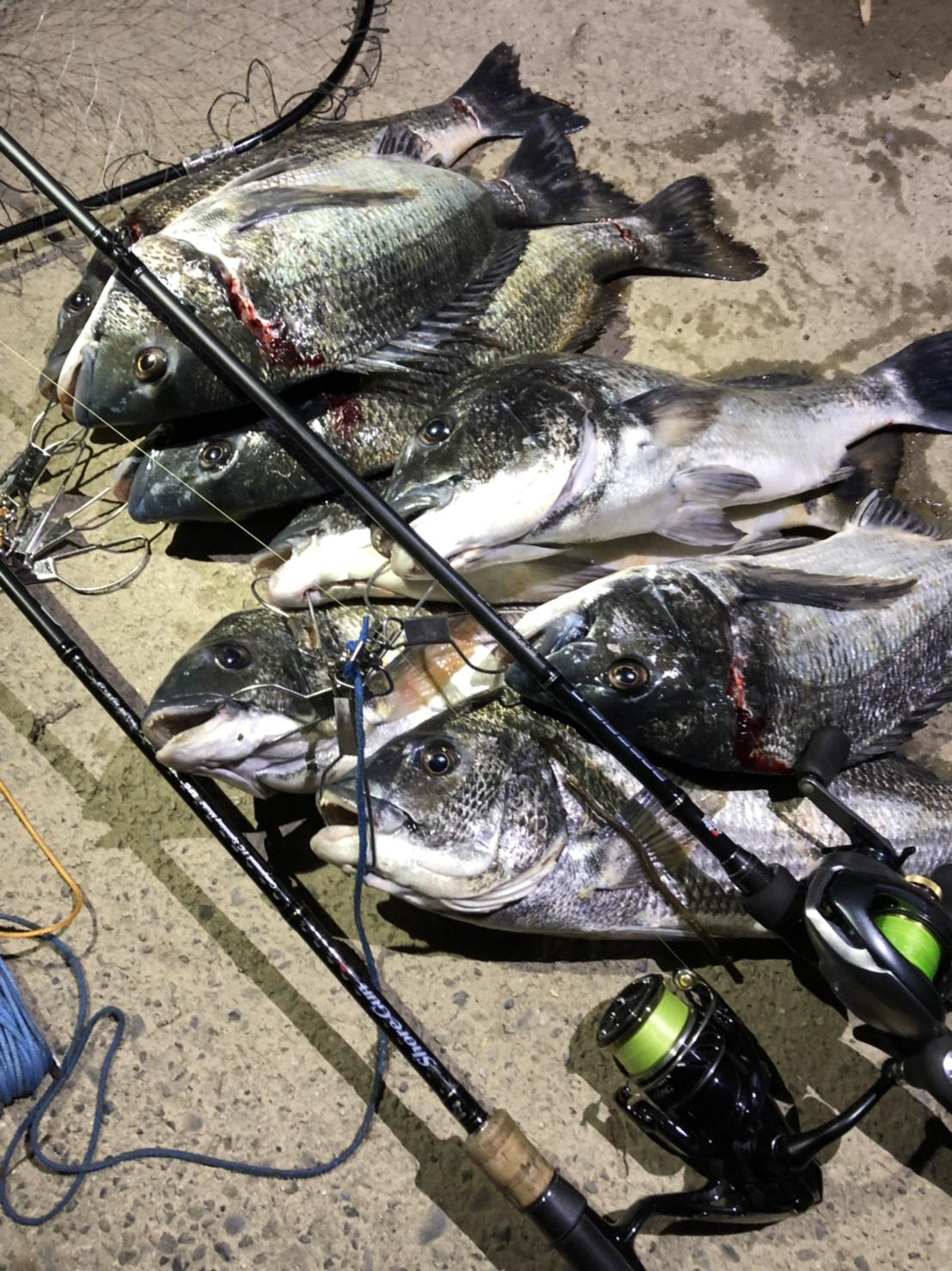 浜名湖ルアークロダイゲーム好調 釣具のイシグロ 釣り情報サイト