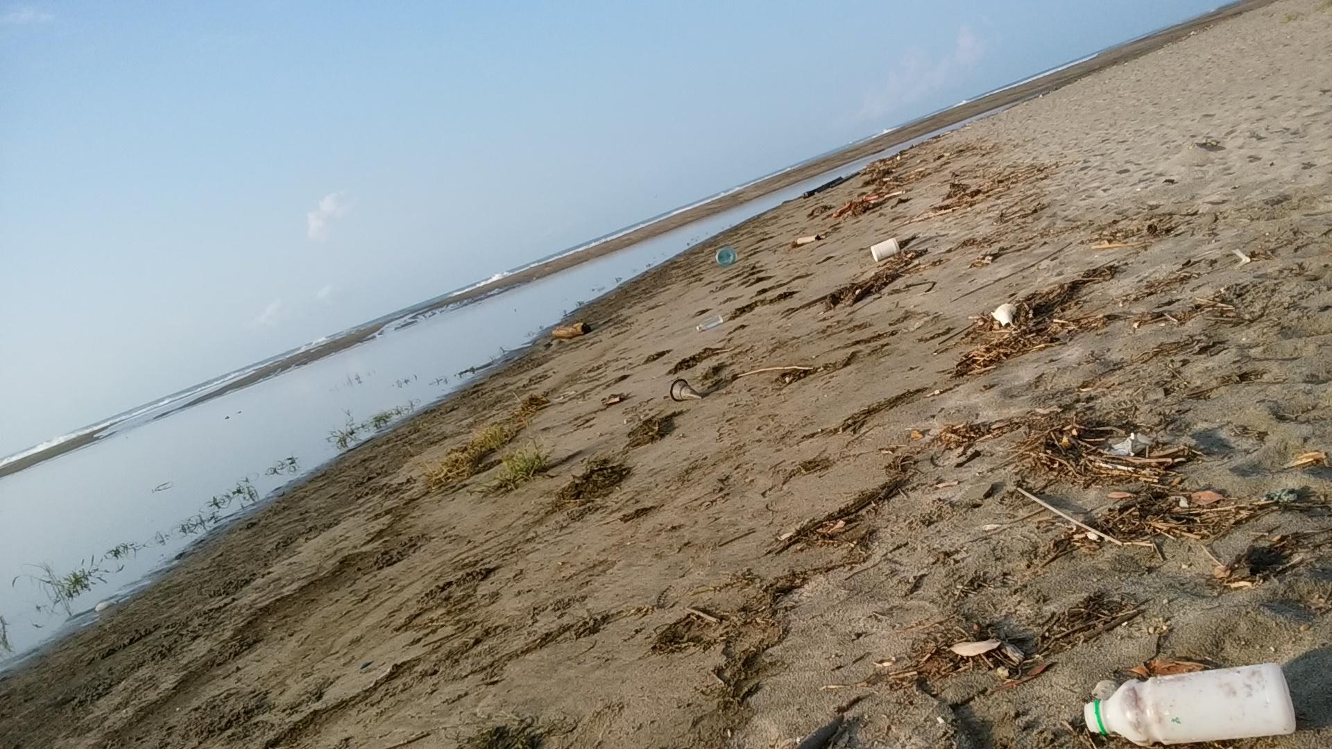 海が荒れて、ゴミ大量に打ち上げられていました。