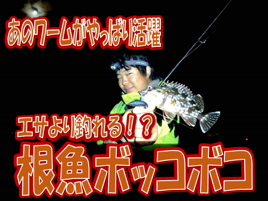 イシグロ西尾店 やっぱこのワーム釣れる 宮崎でロックフィッシュ絶好調 釣具のイシグロ 釣り情報サイト