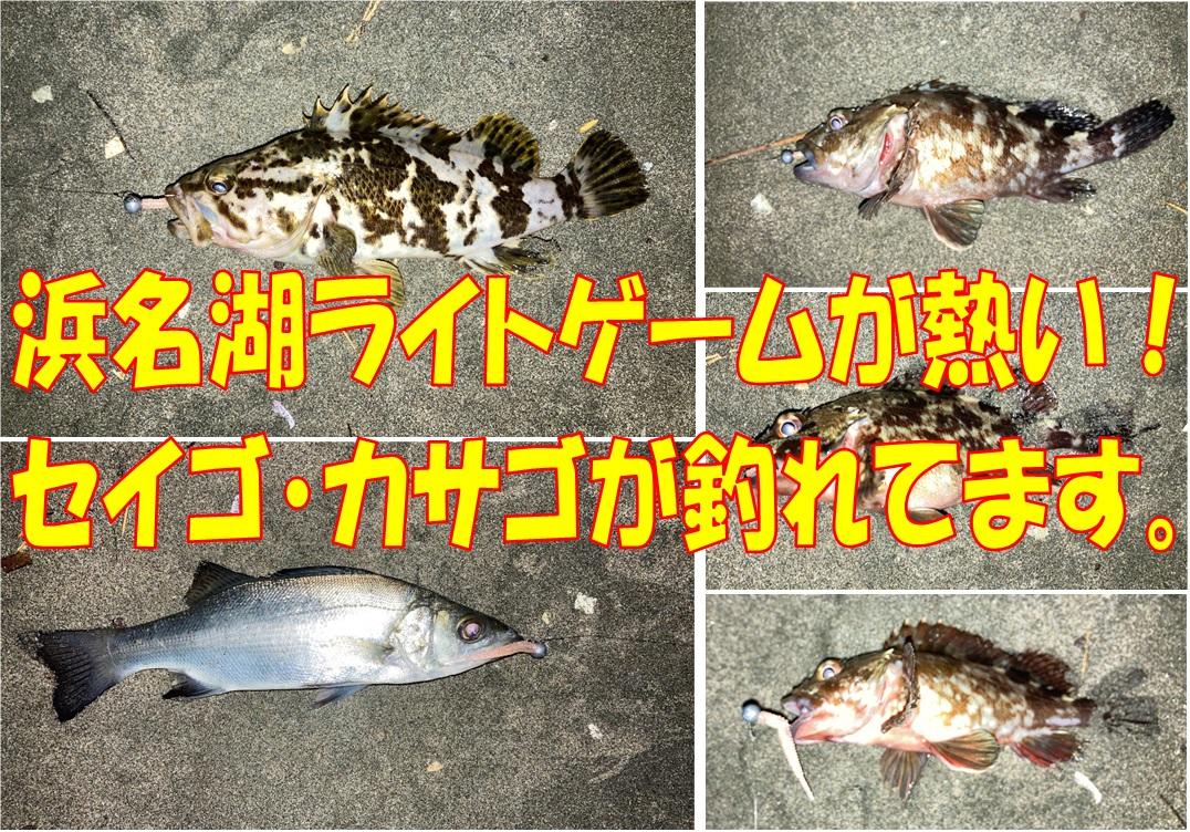 浜名湖ライトルアーゲームが熱い 釣具のイシグロ 釣り情報サイト