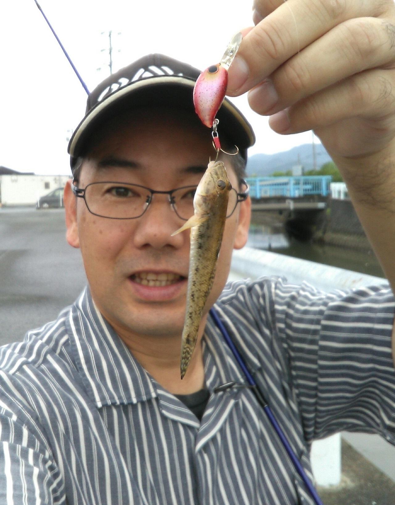 本降りになる前に奥浜名湖各地を探りに行ってきました。